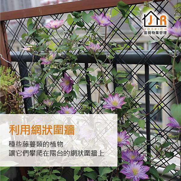 富喬 包租代管推薦-陽台布置小花園 低成本的好方法5 富喬 包租代管推薦-陽台布置小花園 低成本的好方法5