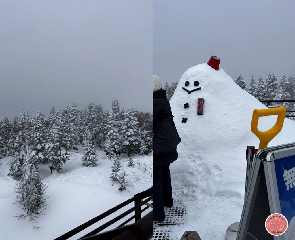 北陸 | 新穗高纜車 媲美阿爾卑斯山雪景 高山奧飛驒溫泉鄉必