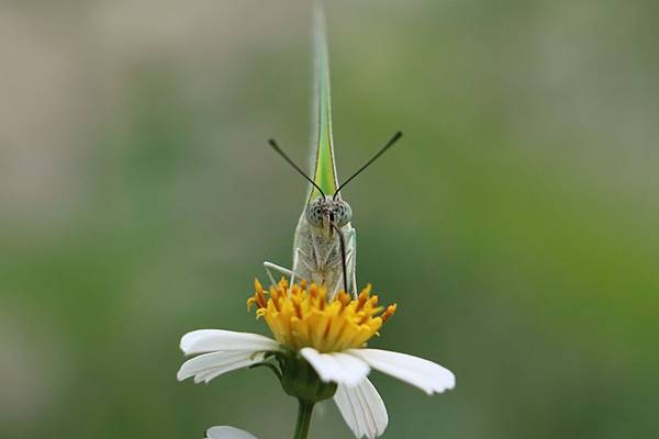 1437964330094 1437964330094