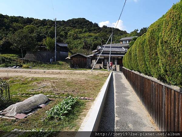 IMG_20181018_131716.jpg IMG_20181018_131716.jpg