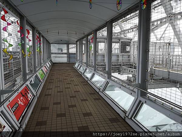 IMG_20181017_114515 IMG_20181017_114515