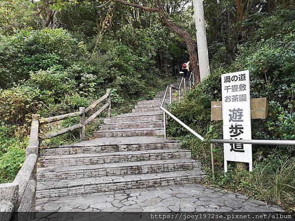 IMG_20181017_113319 IMG_20181017_113319