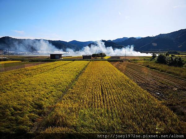 IMG_20181021_150656.jpg IMG_20181021_150656.jpg