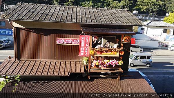 IMG_20181021_155008.jpg IMG_20181021_155008.jpg