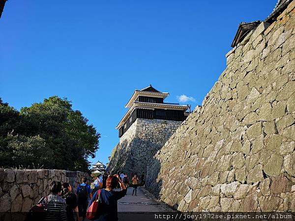 IMG_20181020_160557.jpg IMG_20181020_160557.jpg