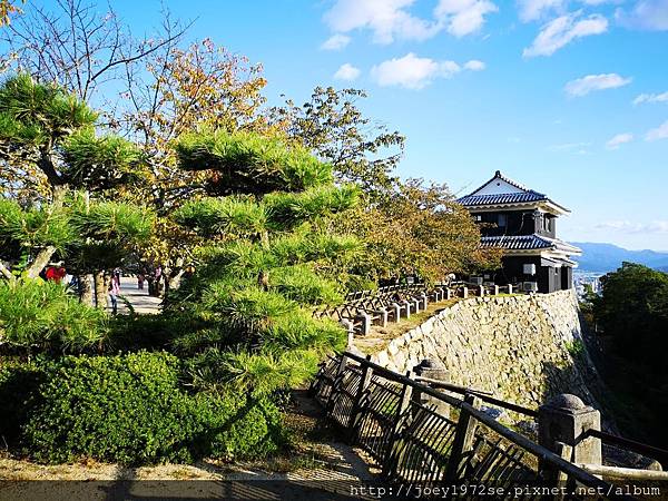 IMG_20181020_162043.jpg IMG_20181020_162043.jpg