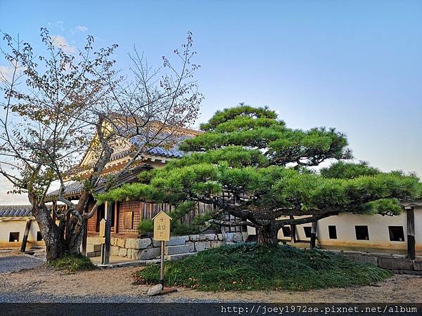 IMG_20181020_165756.jpg IMG_20181020_165756.jpg