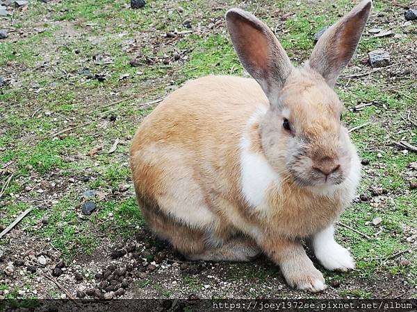 IMG_20181023_112431 IMG_20181023_112431