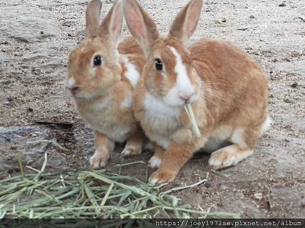 IMG_20181023_111453 IMG_20181023_111453