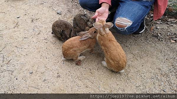 IMG_20181023_132516 IMG_20181023_132516