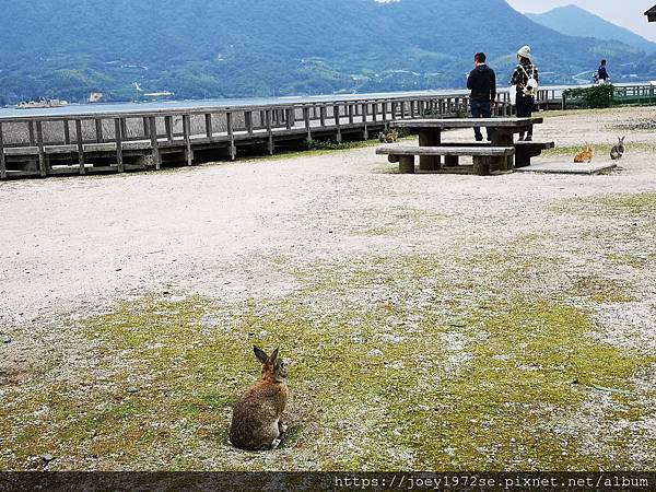 IMG_20181023_112102 IMG_20181023_112102