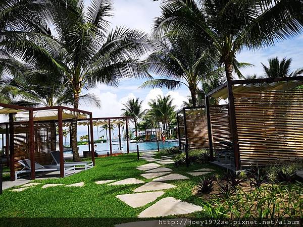 IMG_20190726_094432.jpg IMG_20190726_094432.jpg