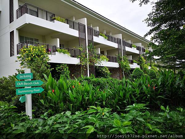 IMG_20190725_112354.jpg IMG_20190725_112354.jpg