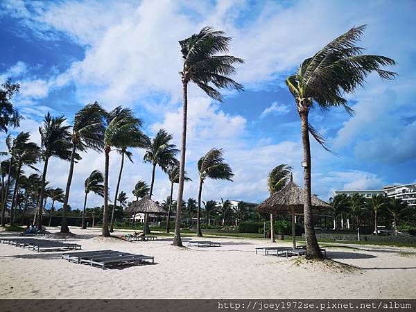 IMG_20190723_152125.jpg IMG_20190723_152125.jpg