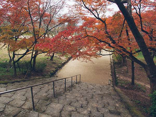 日本九州 賞楓葉名所 秋月城跡與寶滿宮竈門神社鬼滅之刃聖地 含交通 遇見 旅人 痞客邦