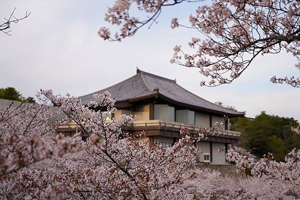 【日本】廣島.岡山.倉敷.尾道.岩國錦帶橋.宮島.宮浜温泉9 【日本】廣島.岡山.倉敷.尾道.岩國錦帶橋.宮島.宮浜温泉9