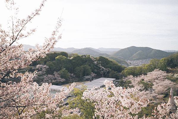 【日本】廣島.岡山.倉敷.尾道.岩國錦帶橋.宮島.宮浜温泉9 【日本】廣島.岡山.倉敷.尾道.岩國錦帶橋.宮島.宮浜温泉9