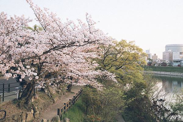 【日本】廣島.岡山.倉敷.尾道.岩國錦帶橋.宮島.宮浜温泉9 【日本】廣島.岡山.倉敷.尾道.岩國錦帶橋.宮島.宮浜温泉9