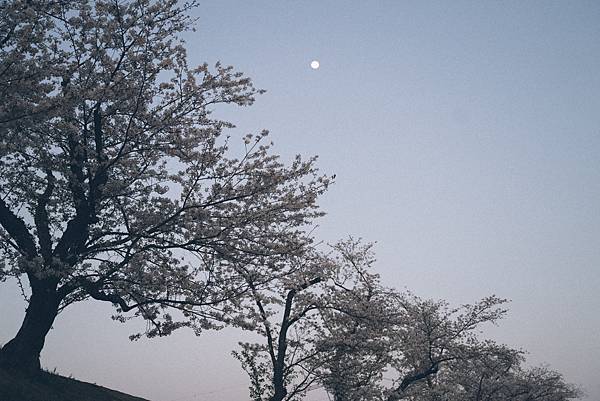 【日本】廣島.岡山.倉敷.尾道.岩國錦帶橋.宮島.宮浜温泉9 【日本】廣島.岡山.倉敷.尾道.岩國錦帶橋.宮島.宮浜温泉9