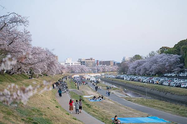 【日本】廣島.岡山.倉敷.尾道.岩國錦帶橋.宮島.宮浜温泉9 【日本】廣島.岡山.倉敷.尾道.岩國錦帶橋.宮島.宮浜温泉9