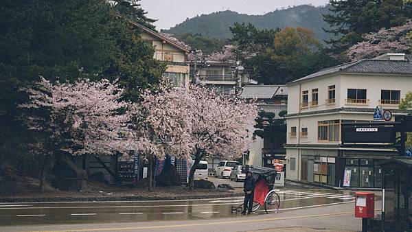 【日本】廣島.岡山.倉敷.尾道.岩國錦帶橋.宮島.宮浜温泉9