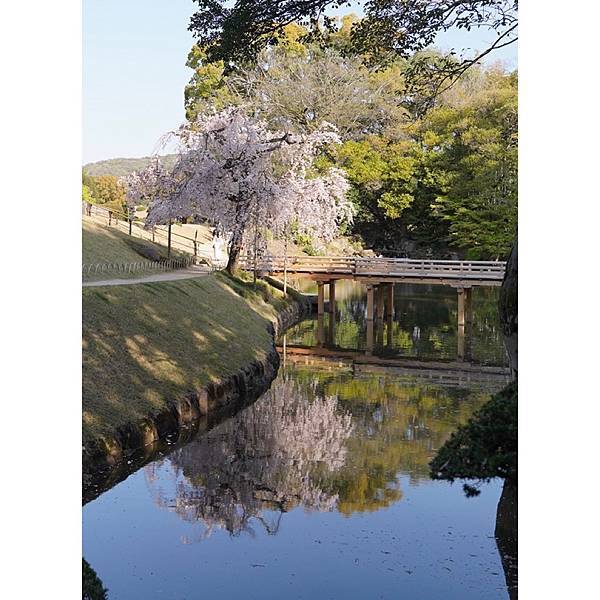 【日本】廣島.岡山.倉敷.尾道.岩國錦帶橋.宮島.宮浜温泉9 【日本】廣島.岡山.倉敷.尾道.岩國錦帶橋.宮島.宮浜温泉9