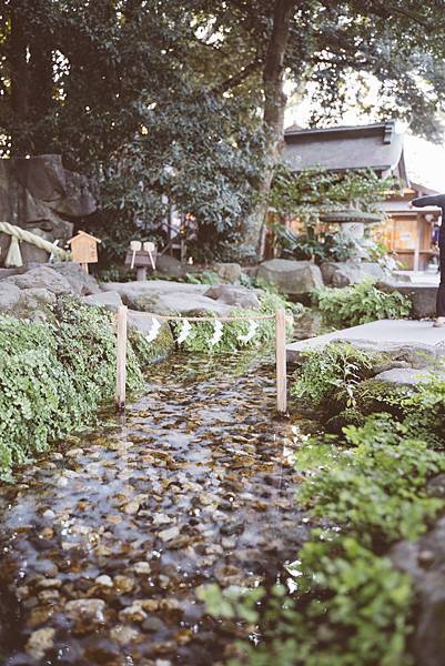 【日本】東京.富士五湖7日行程非自駕(川越.河口湖.山中湖.