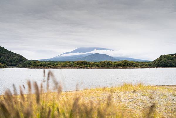 富士五湖非自駕行程交通分享 富士五湖非自駕行程交通分享