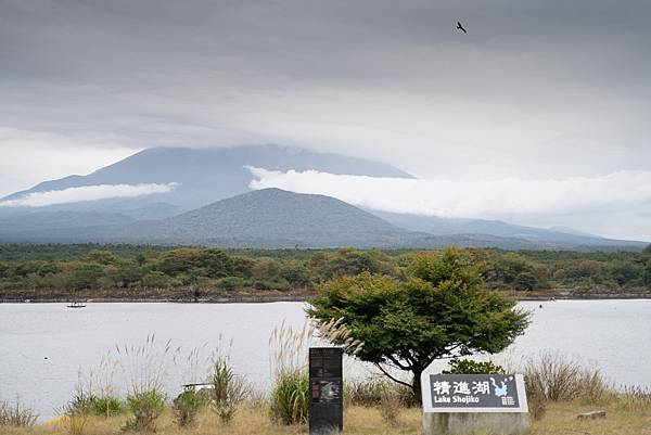 富士五湖非自駕行程交通分享 富士五湖非自駕行程交通分享
