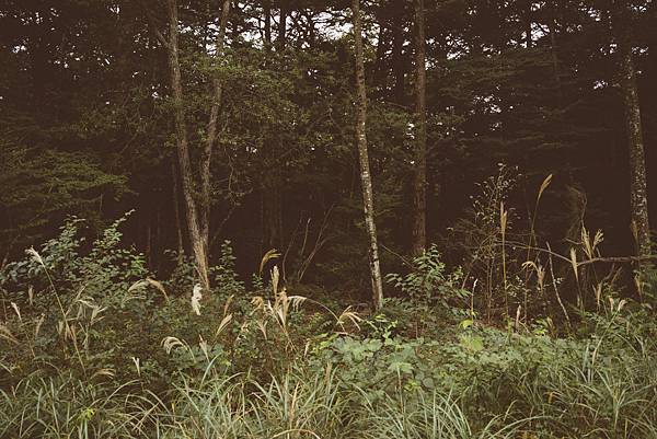 富士五湖非自駕行程交通分享 富士五湖非自駕行程交通分享