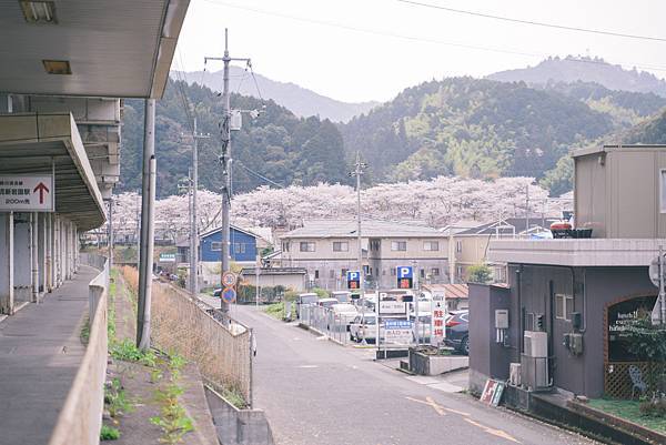 岩國景鍛橋