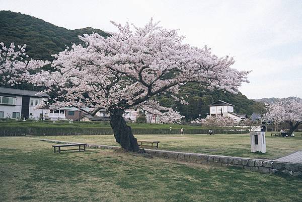 岩國景鍛橋