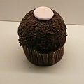  cup cake