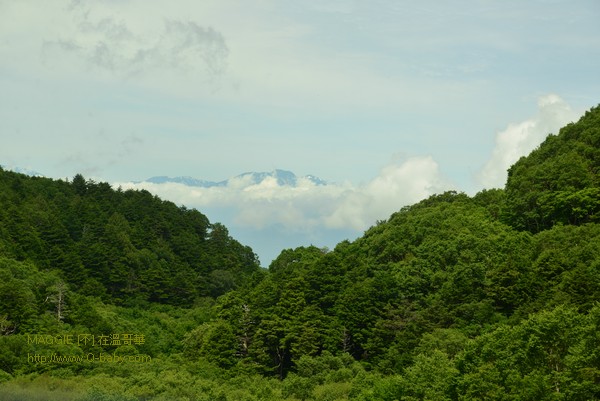 第7站 志賀高原 公館山 - 005