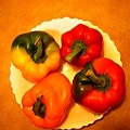 bicolor bell pepper