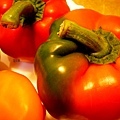 bicolor bell pepper3