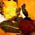 orange&purple cauliflowers