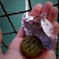 Hokkaido matcha chocolate-3