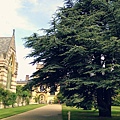 a corner of the Oxford campus