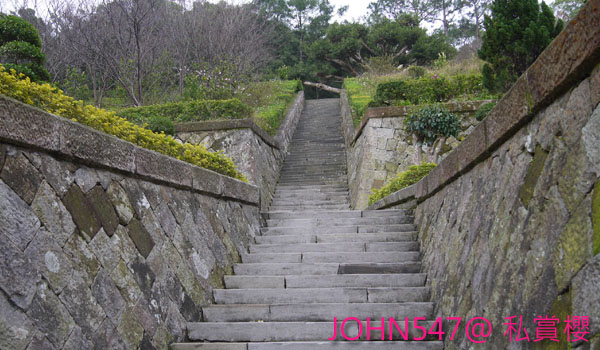 賞櫻私景點 三峽白雞行修宮2