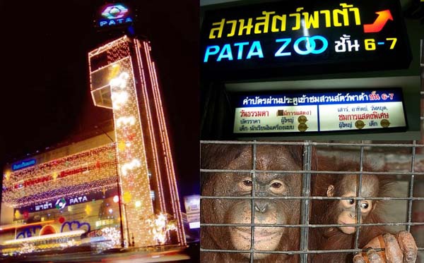 Pata Pinklao 購物中心PATA ZOO2.jpg