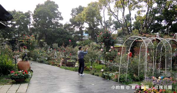 新生園區春季玫瑰花園賞花2.jpg