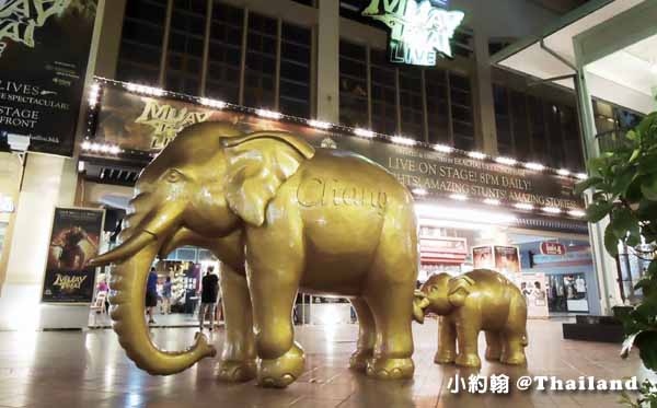 小約翰就愛泰國自由行