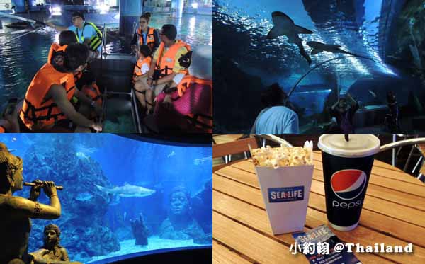 泰國曼谷7天6夜自由行- SEA LIFE Bangkok Ocean World 海洋世界水族館.jpg