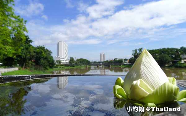 泰國清邁曼谷蜜月旅行 五星級蜜月旅行20天心得2