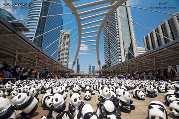 1600 Pandas+ BTS Chong Nonsi.jpg