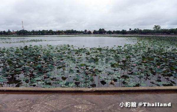 Nong Bua pond蓮花池Naresuan Health Promotion Public Park.jpg