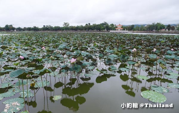 Nong Bua pond蓮花池Naresuan Health Promotion Public Park1.jpg