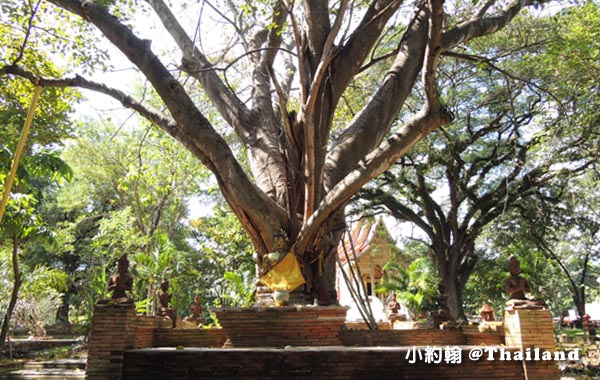 Wat Ched Yot(Wat Maha Bodharam,Wat Jedyod)3.jpg