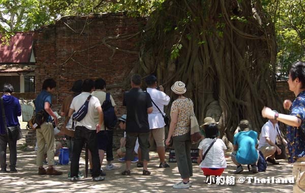 大城瑪哈泰寺Wat Mahathat Ayutthaya9.jpg